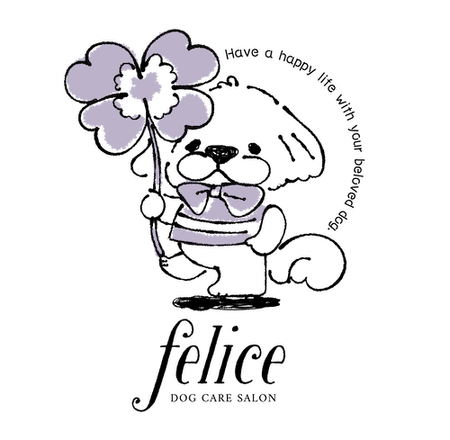 広島市安佐北区のトリミングサロン Dog care salon felic﻿e｜河戸帆待川駅4分